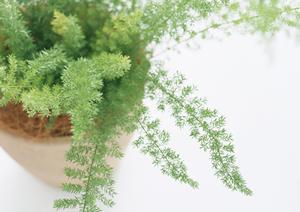 クレバリーホーム｜熊本での木造住宅の注文住宅ならここに決まり！